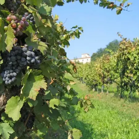La Moraia * Poggibonsi